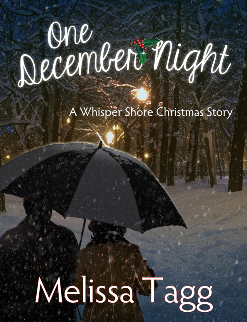 One December Night (free e-short)