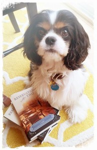 11095080_10153271255057162_1223085282_n