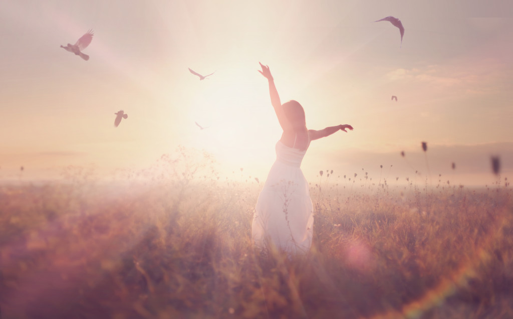 silhouette of a young girl in a field, at sunrise with flying birds in the sky